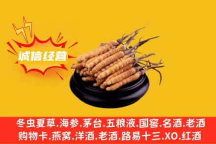 马尔康市回收冬虫夏草
